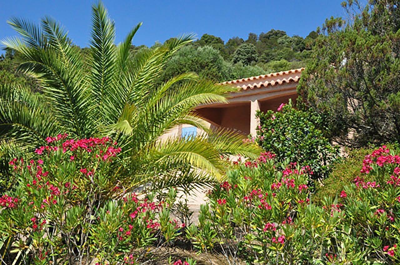 Residence U Latonu - Palombaggia Porto-Vecchio  Exteriér fotografie