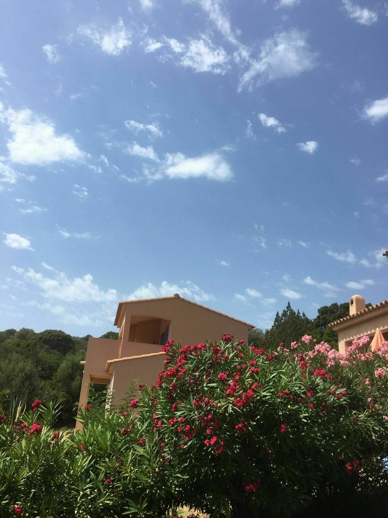 Residence U Latonu - Palombaggia Porto-Vecchio  Exteriér fotografie